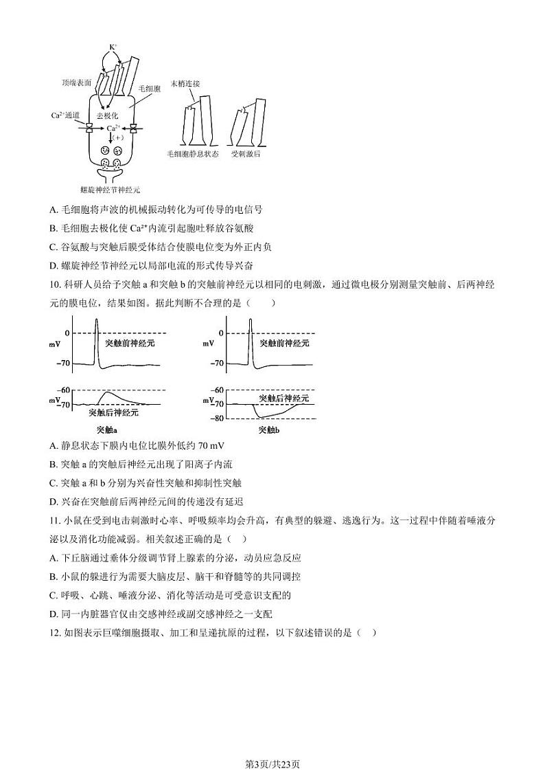 2024北京八十中高二上学期期中生物试题及答案第3页