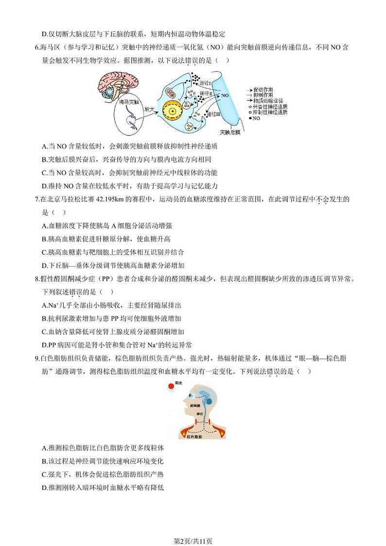 2024北京丰台高二上学期期中生物（A卷）试题及答案第2页