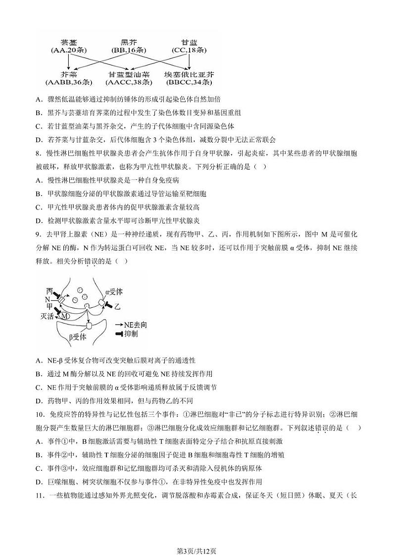 2024北京五十五中高三上学期期中生物试题及答案第3页