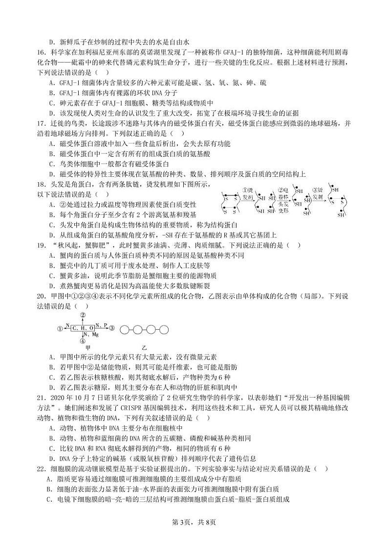 四川省成都市第七中学2024-2025学年高一上学期期中联考生物试题第3页