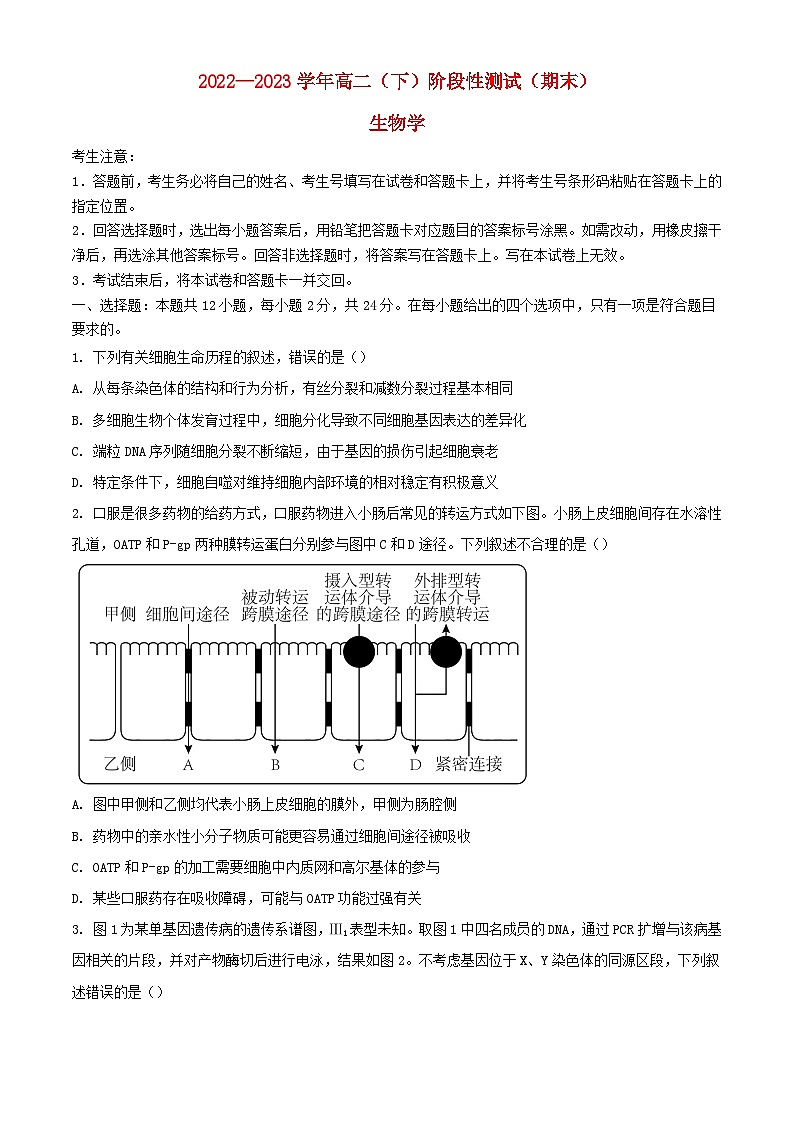 安徽省合肥市肥西县2022_2023学年高二生物下学期期末考试01