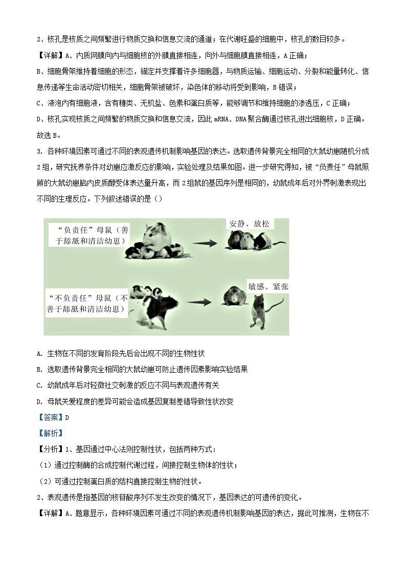 湖南省长沙市2023_2024学年高三生物上学期入学考试暑假作业检测试题含解析第2页