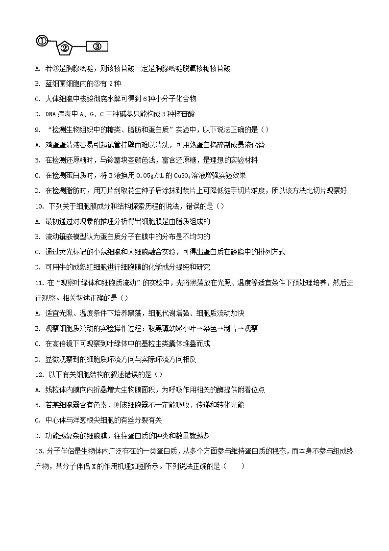 内蒙古鄂尔多斯市2022_2023学年高一生物上学期期末试题03