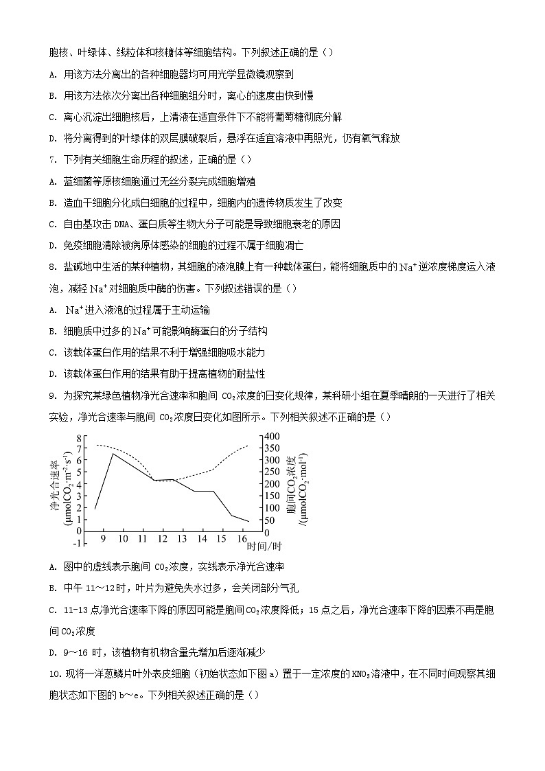 山东省滕州市2022_2023学年高一生物上学期期末考试试题第2页