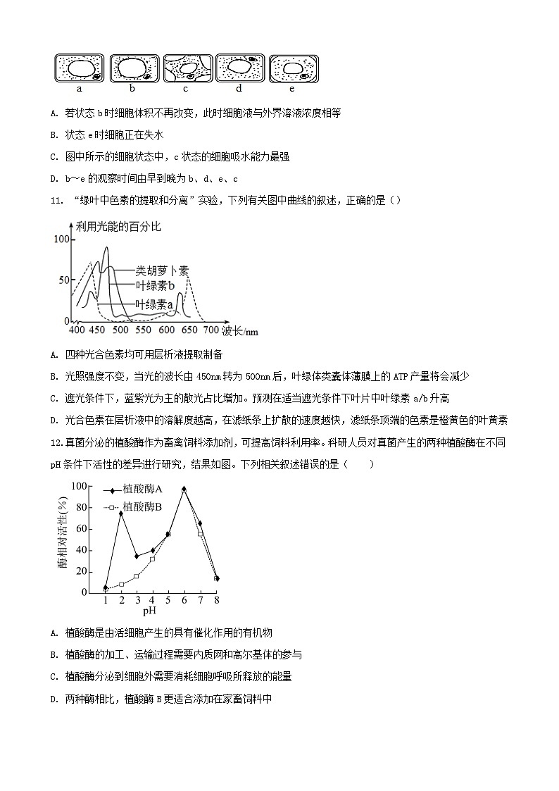 山东省滕州市2022_2023学年高一生物上学期期末考试试题第3页