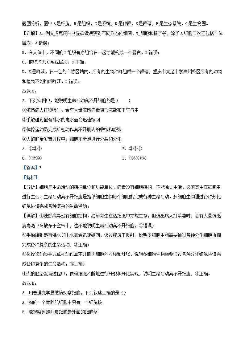 重庆市2023_2024学年高一生物上学期期中联考试题含解析第2页