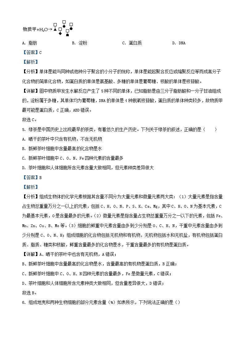 重庆市云阳县梁平区等地学校2023_2024学年高一生物上学期12月月考联考试题含解析03