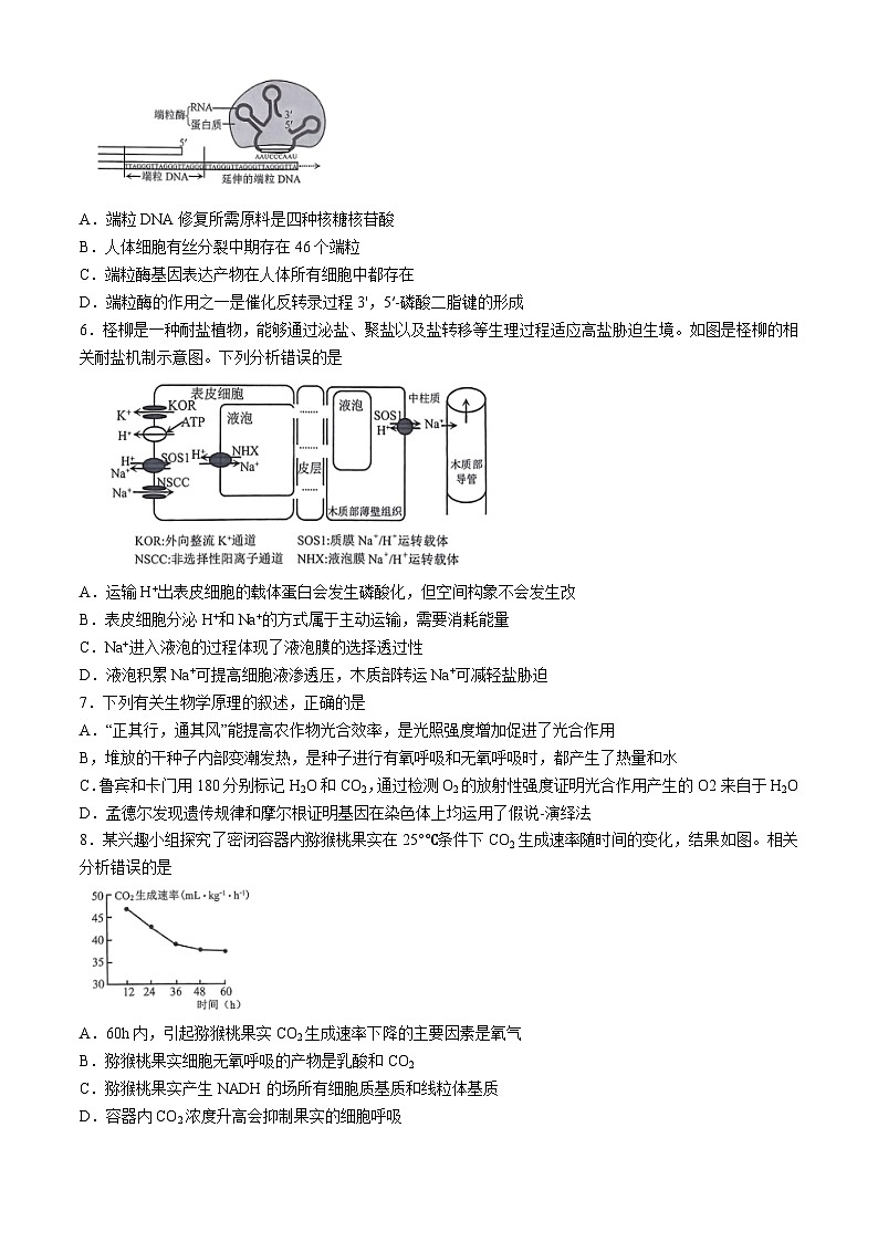 重庆市2024-2025学年高三上学期11月期中生物试题02