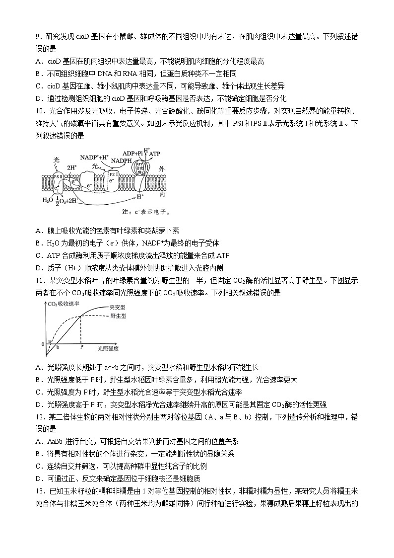 重庆市2024-2025学年高三上学期11月期中生物试题03