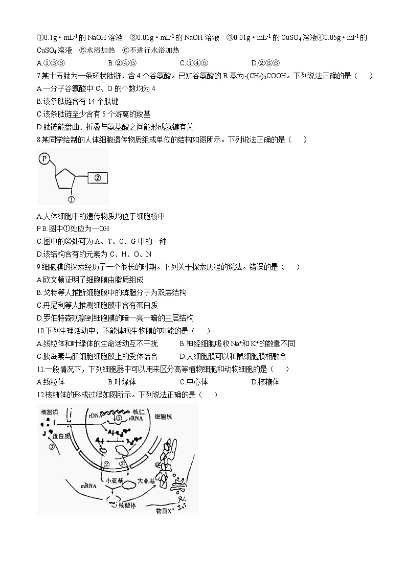 云南省部分学校2024-2025学年高一上学期期中考试生物试题第2页