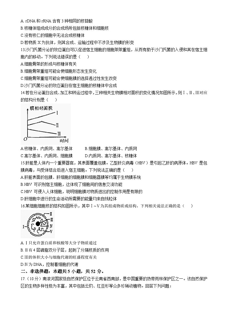 云南省部分学校2024-2025学年高一上学期期中考试生物试题第3页