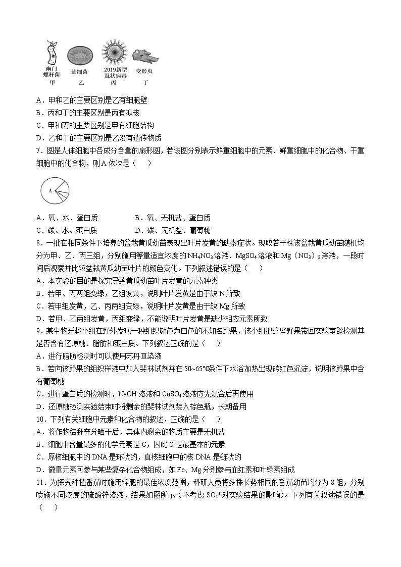 四川省成都市第七中学2024-2025学年高一上学期期中联考生物试题(无答案)02