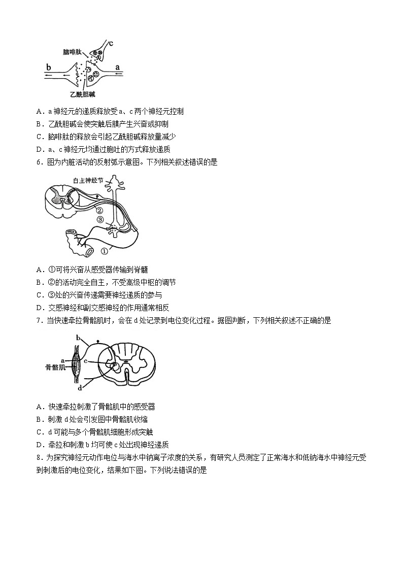 北京市育才学校2024-2025学年高二上学期期中生物试题(无答案)02