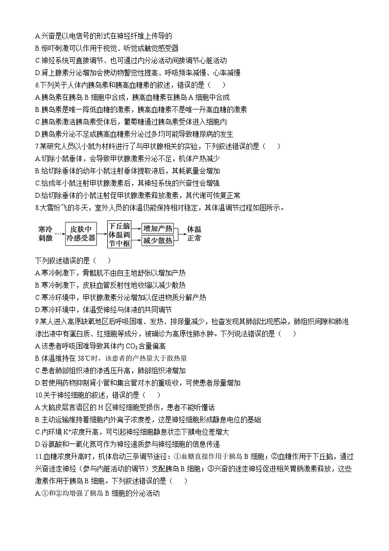 广东省深圳市高级中学2024-2025学年高二上学期期中考试生物试题第2页