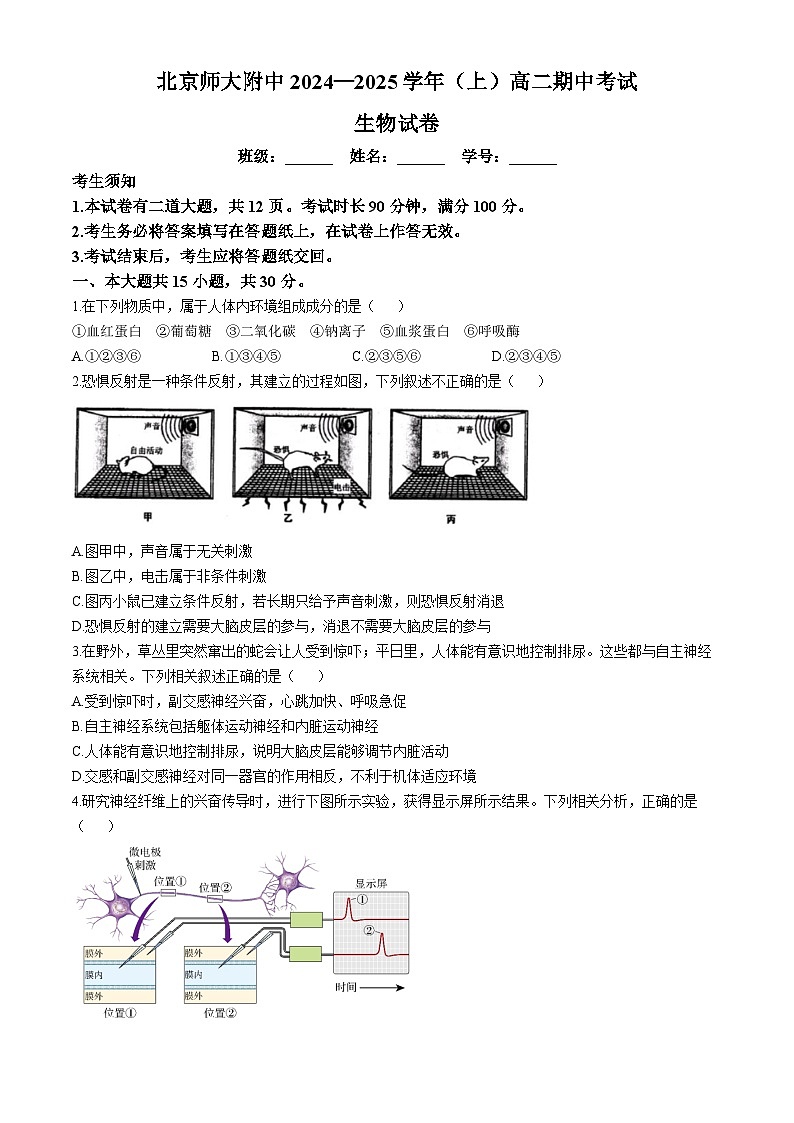 北京市北师大附中2024-2025学年高二上学期期中考试生物试题(无答案)01