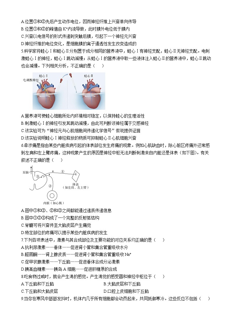 北京市北师大附中2024-2025学年高二上学期期中考试生物试题(无答案)02