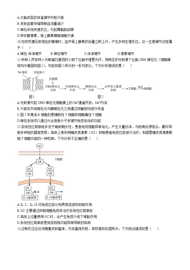 北京市北师大附中2024-2025学年高二上学期期中考试生物试题(无答案)03