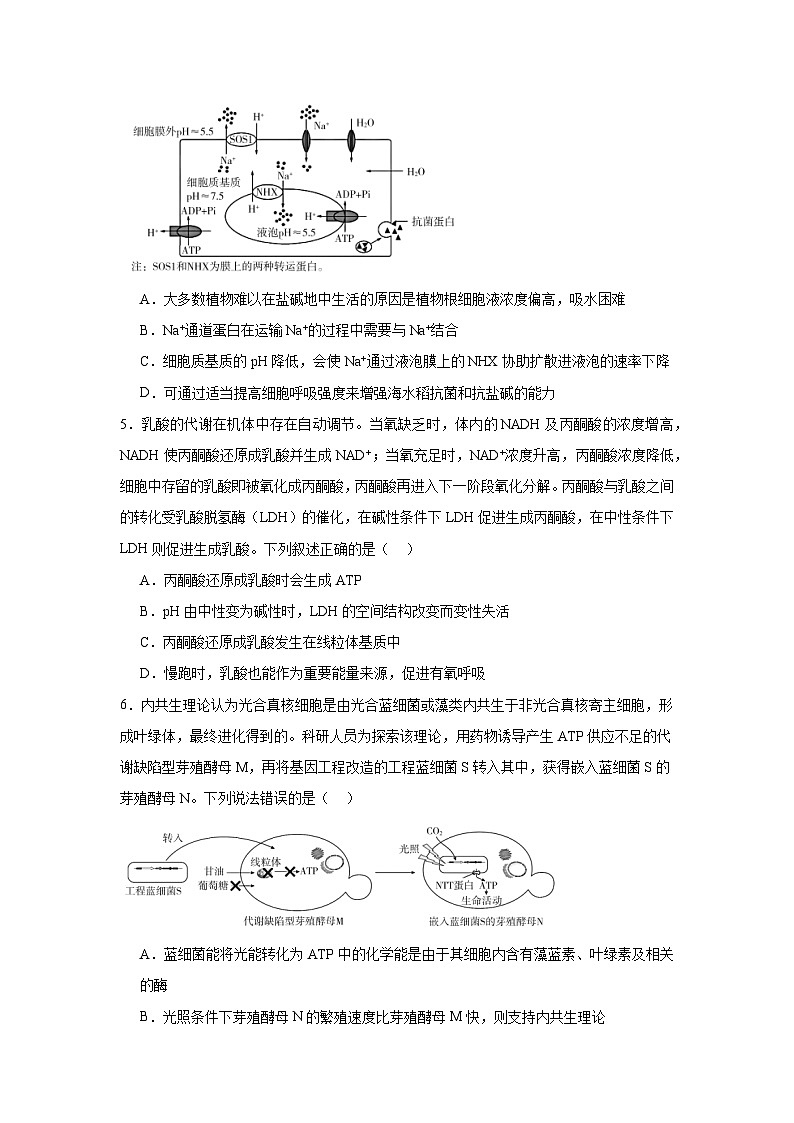 2025届广东省肇庆市高三一模生物试题第2页