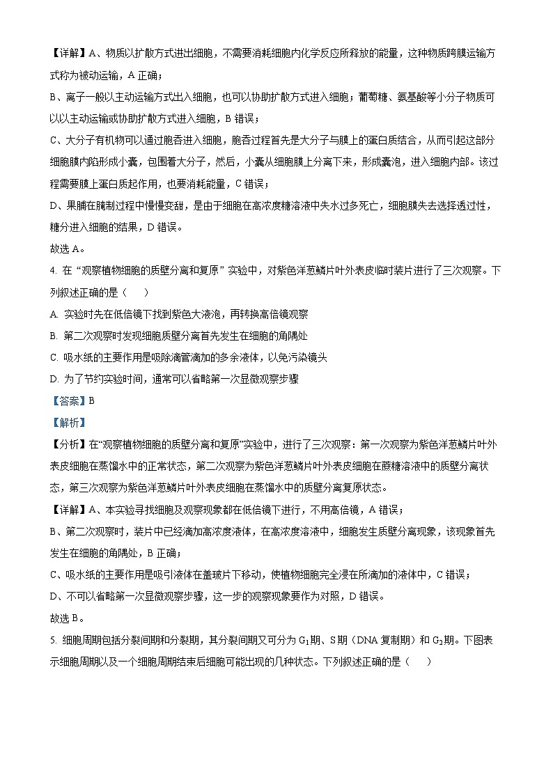 湖北省部分高中2024-2025学年高三上学期11月期中联考生物试题  Word版含解析第3页