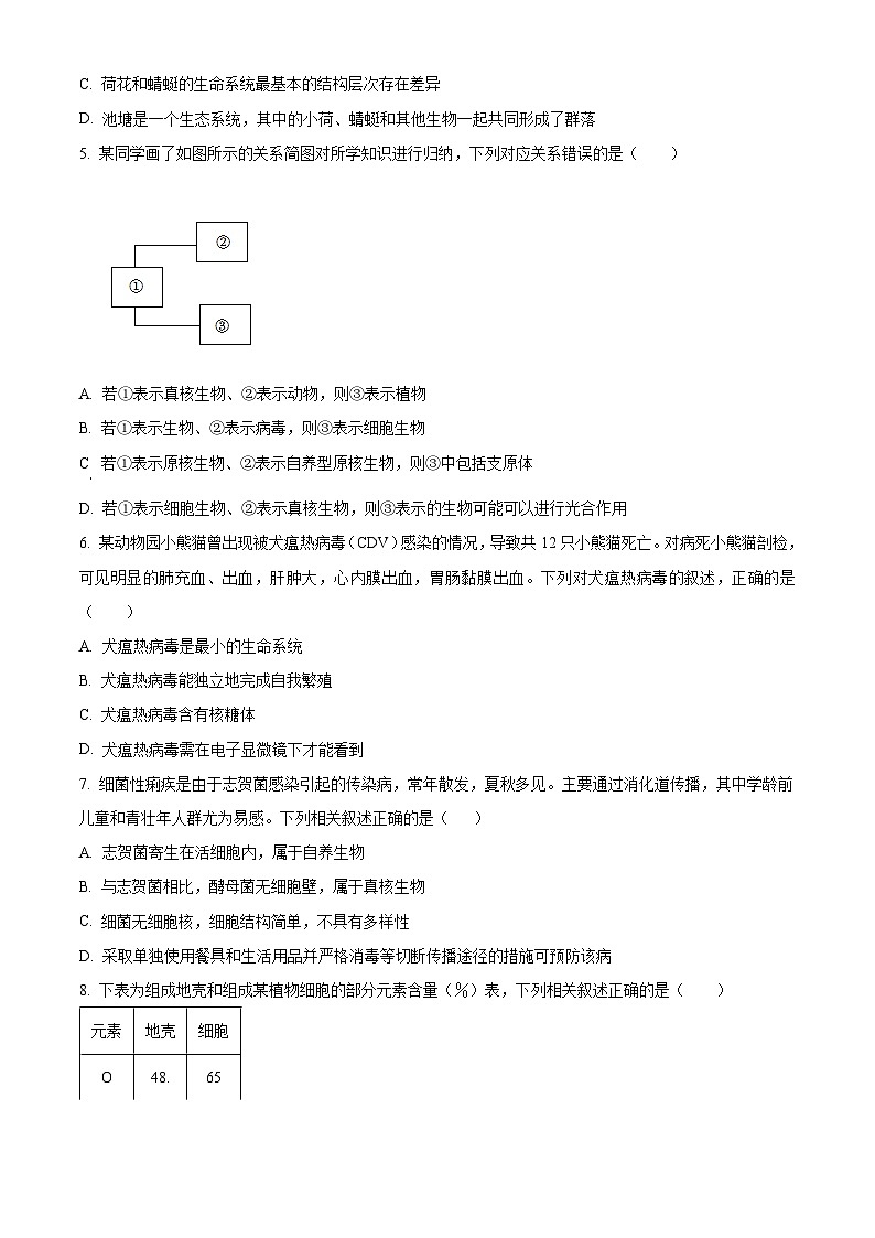 湖北省宜昌市协作体2024-2025学年高一上学期期中考试生物试题 Word版无答案第2页