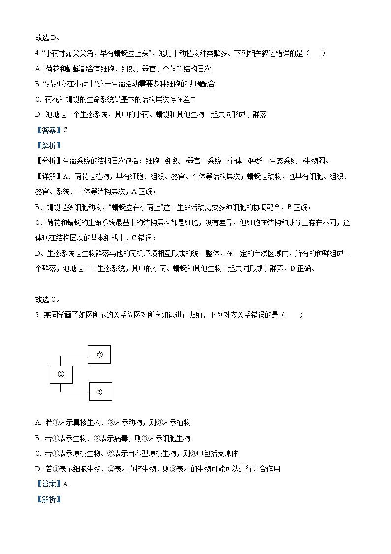 湖北省宜昌市协作体2024-2025学年高一上学期期中考试生物试题 Word版含解析第3页