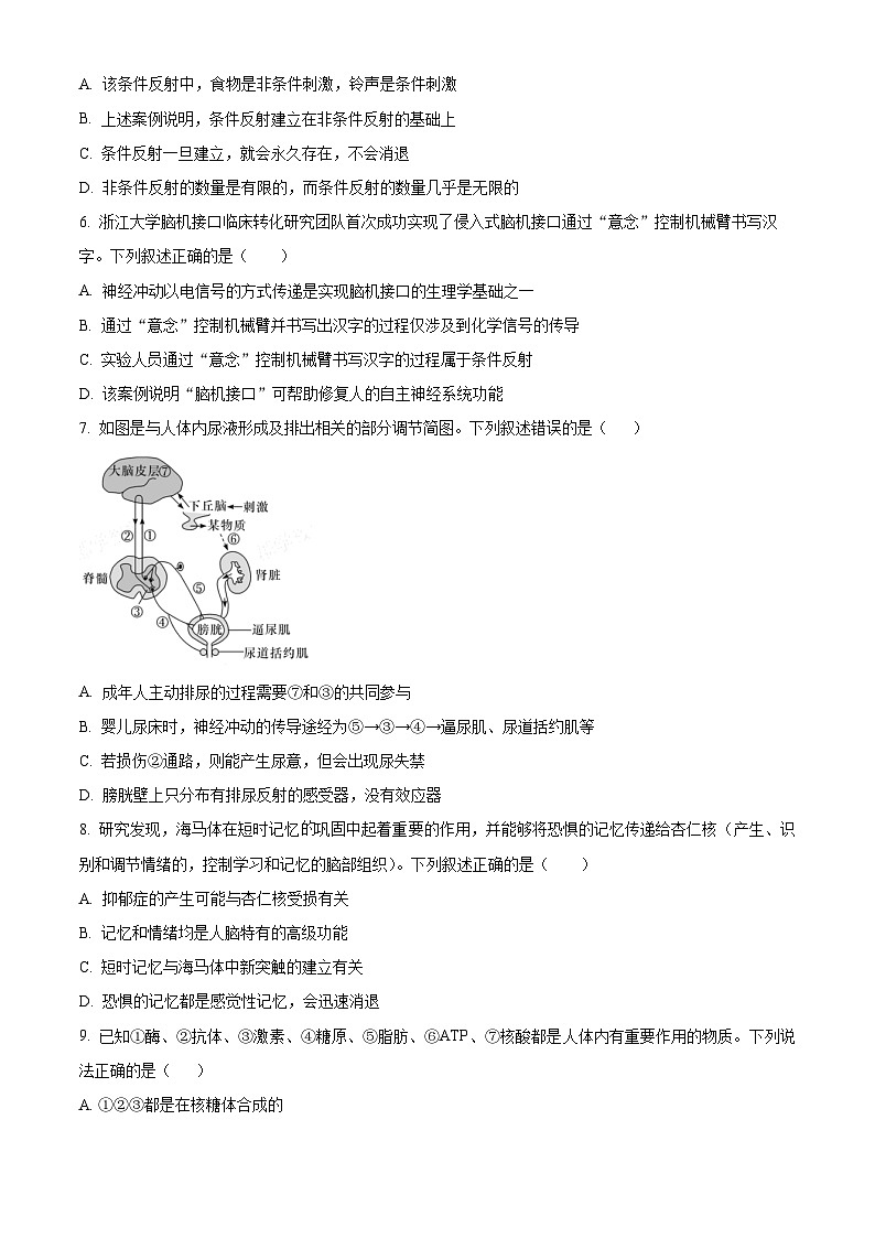 湖南省衡阳市衡阳县第一中学2024-2025学年高二上学期11月期中考试生物试题 Word版无答案第2页