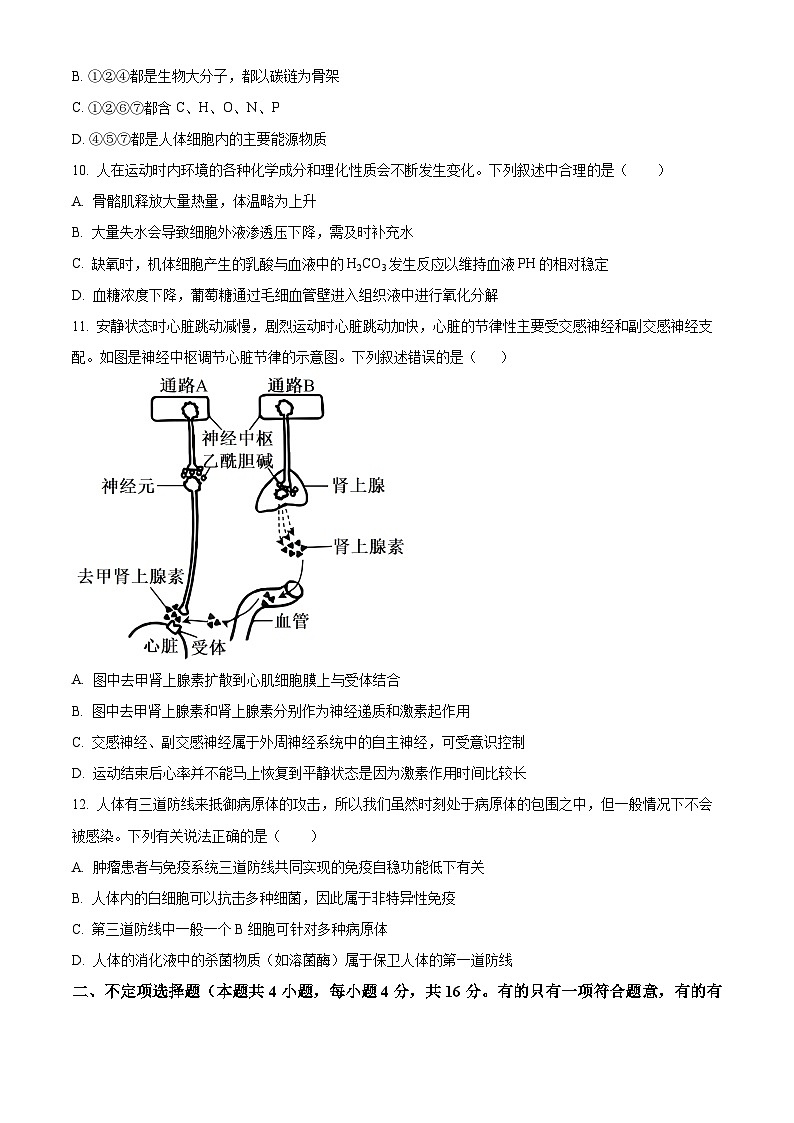 湖南省衡阳市衡阳县第一中学2024-2025学年高二上学期11月期中考试生物试题 Word版无答案第3页