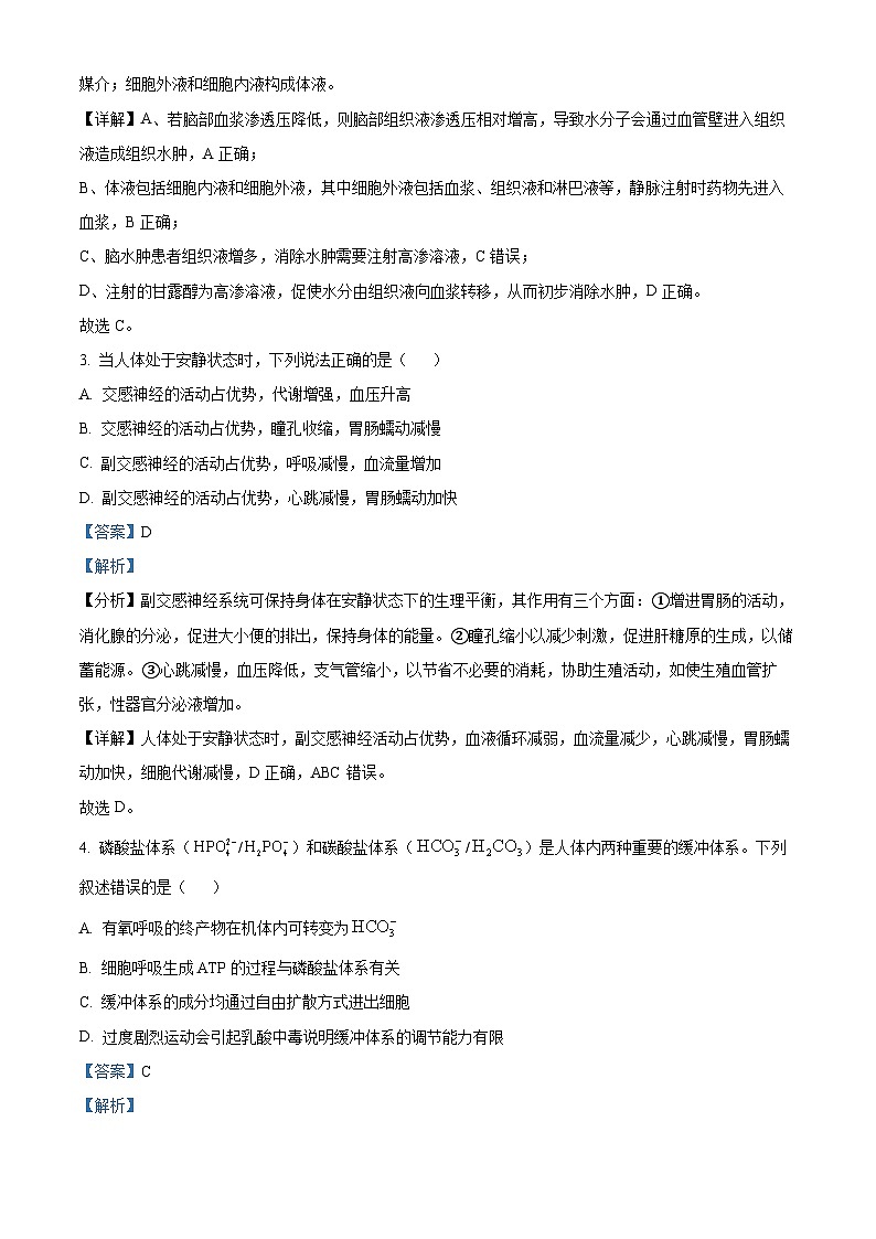 湖南省衡阳市衡阳县第一中学2024-2025学年高二上学期11月期中考试生物试题 Word版含解析第2页