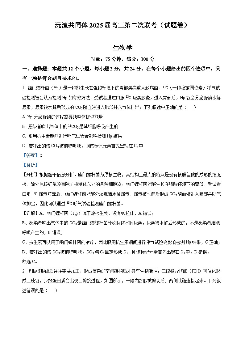湖南省沅澧共同体2024-2025学年高三上学期第二次联考生物试卷（Word版附解析）01
