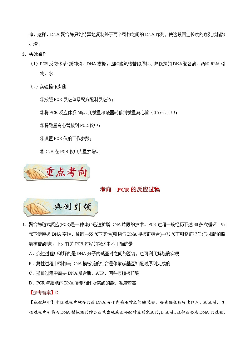 备战2025年高考生物考点一遍过考点80PCR技术教案（Word版附解析）02