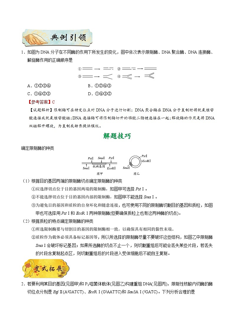 备战2025年高考生物考点一遍过考点79基因工程（一）教案（Word版附解析）02