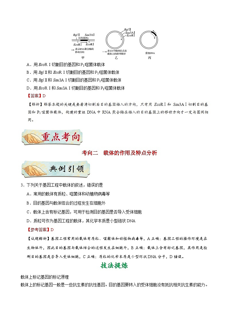 备战2025年高考生物考点一遍过考点79基因工程（一）教案（Word版附解析）03