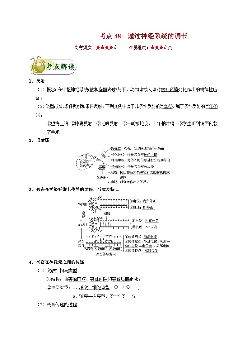 备战2025年高考生物考点一遍过考点48通过神经系统的调节教案（Word版附解析）第1页
