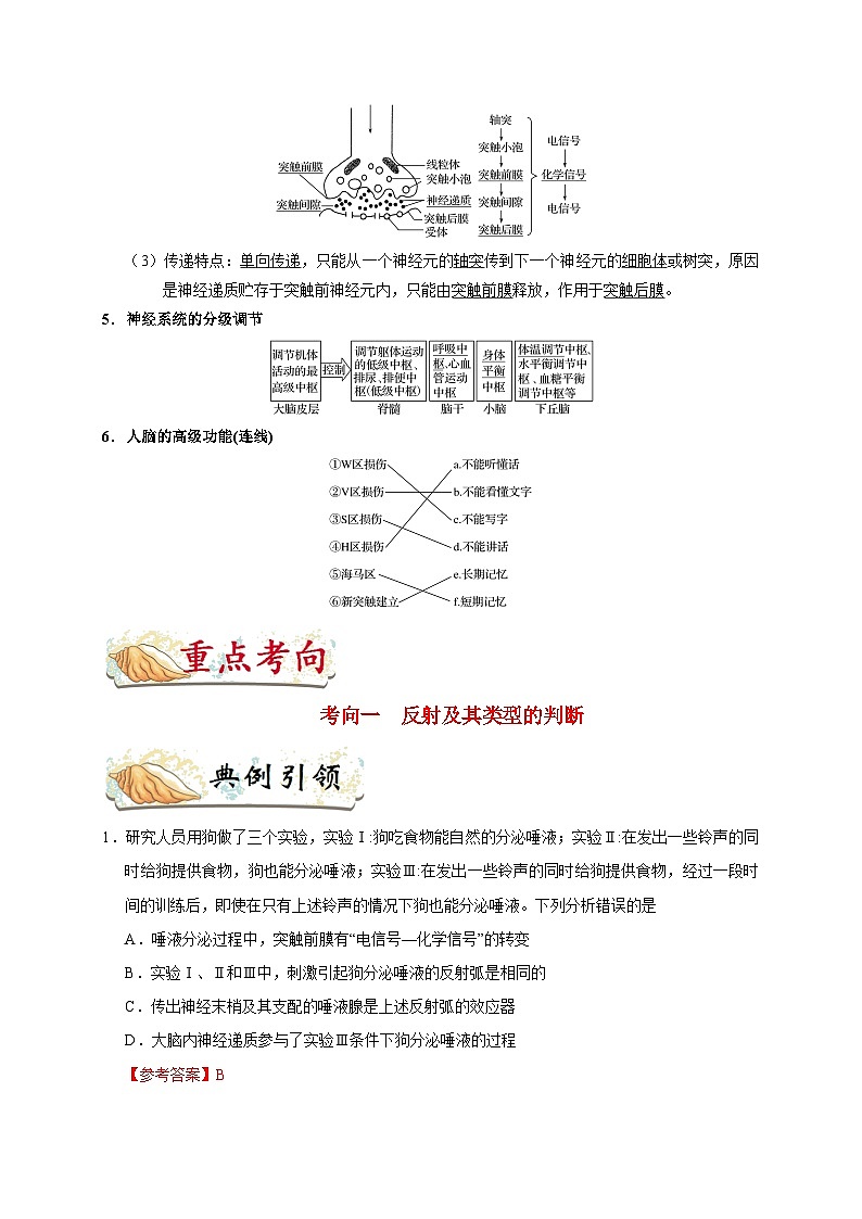 备战2025年高考生物考点一遍过考点48通过神经系统的调节教案（Word版附解析）第2页