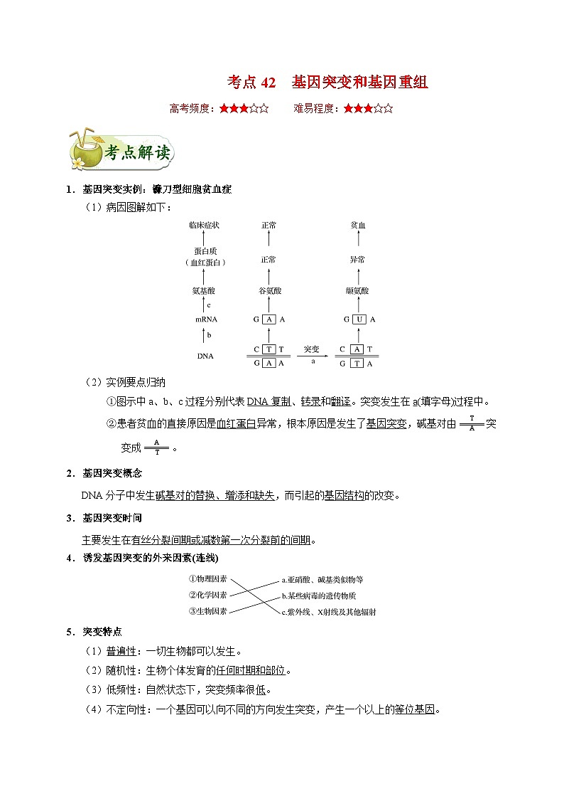 备战2025年高考生物考点一遍过考点42基因突变和基因重组教案（Word版附解析）第1页