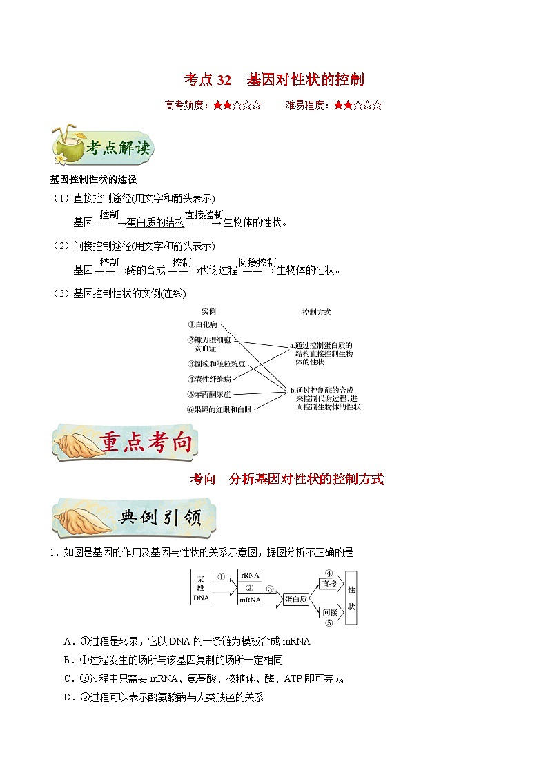 备战2025年高考生物考点一遍过考点32基因对性状的控制教案（Word版附解析）01