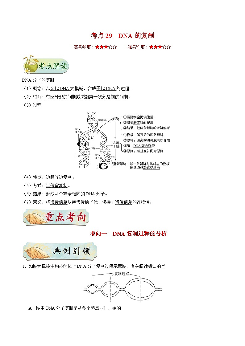 备战2025年高考生物考点一遍过考点29DNA的复制教案（Word版附解析）01