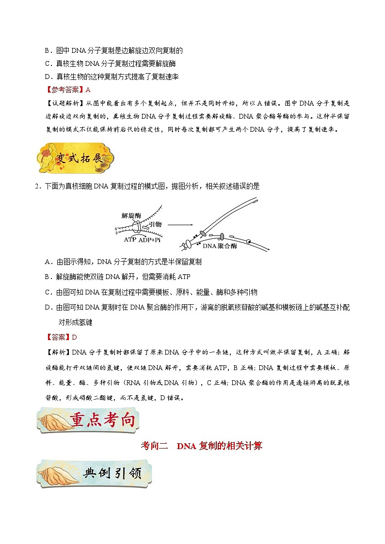 备战2025年高考生物考点一遍过考点29DNA的复制教案（Word版附解析）02