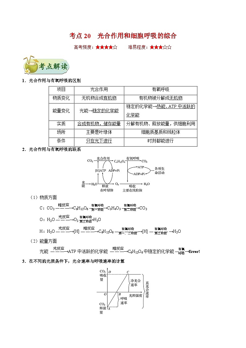 备战2025年高考生物考点一遍过考点20光合作用和细胞呼吸的综合教案（Word版附解析）第1页