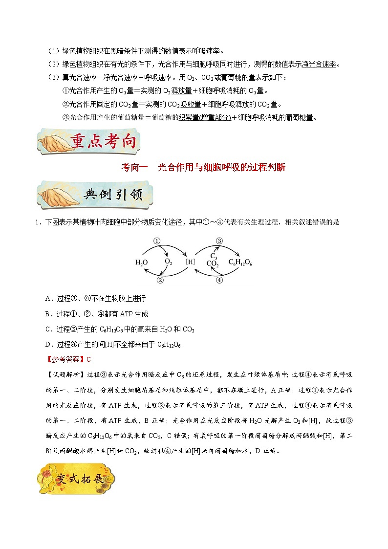 备战2025年高考生物考点一遍过考点20光合作用和细胞呼吸的综合教案（Word版附解析）第2页