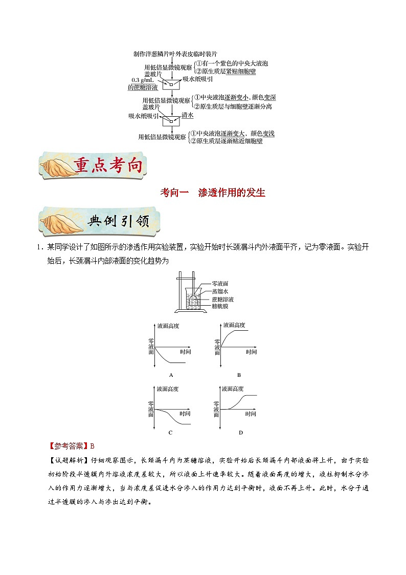 备战2025年高考生物考点一遍过考点13渗透作用的原理及应用教案（Word版附解析）第2页