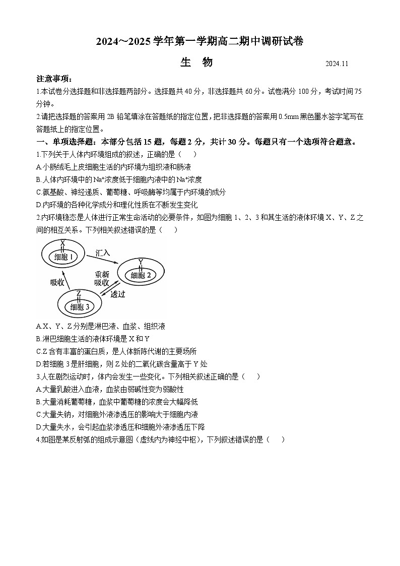 江苏省苏州市2024-2025学年高二上学期11月期中生物试题第1页