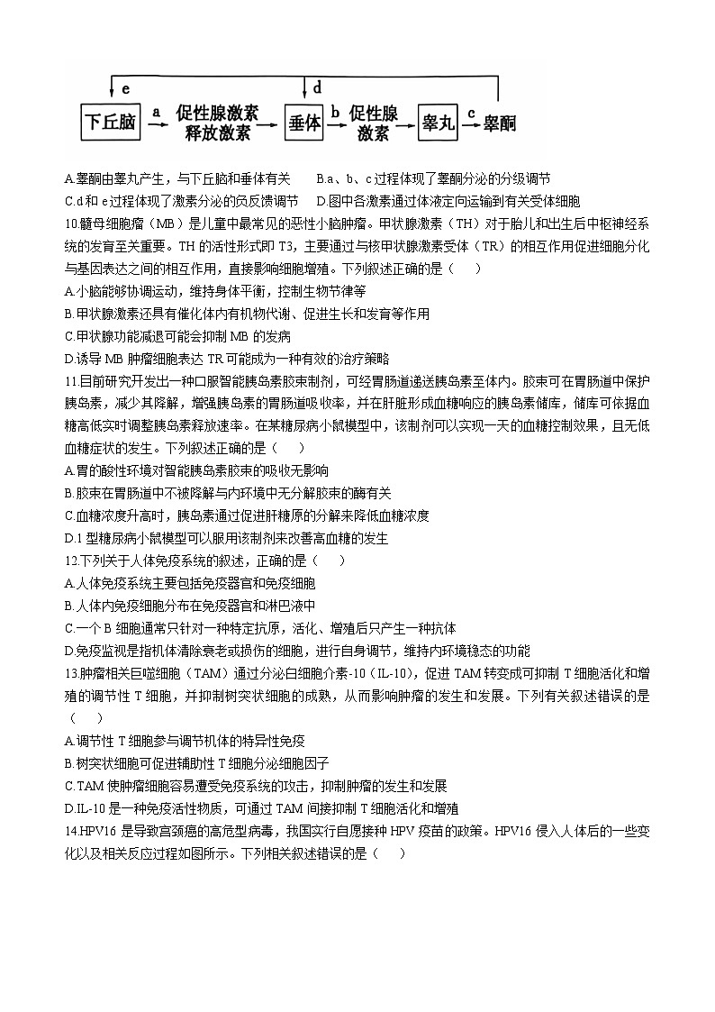 江苏省苏州市2024-2025学年高二上学期11月期中生物试题第3页