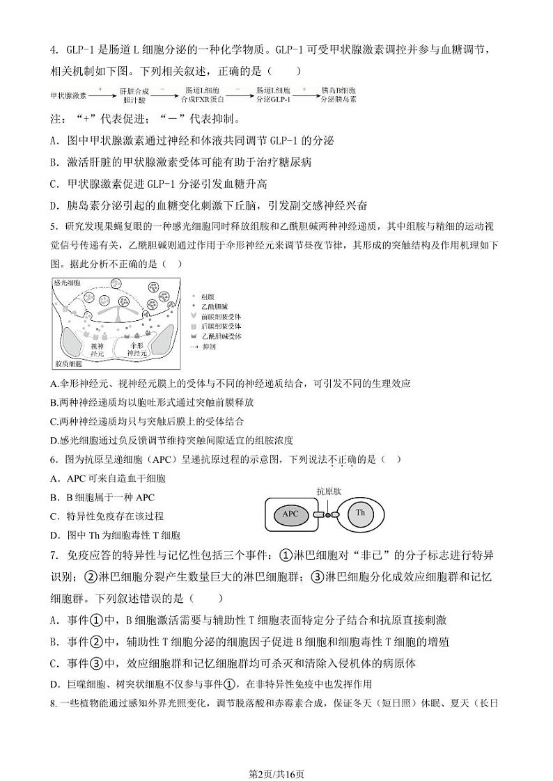 2024北京市陈经纶中高二上学期期中生物试卷（教师版）第2页