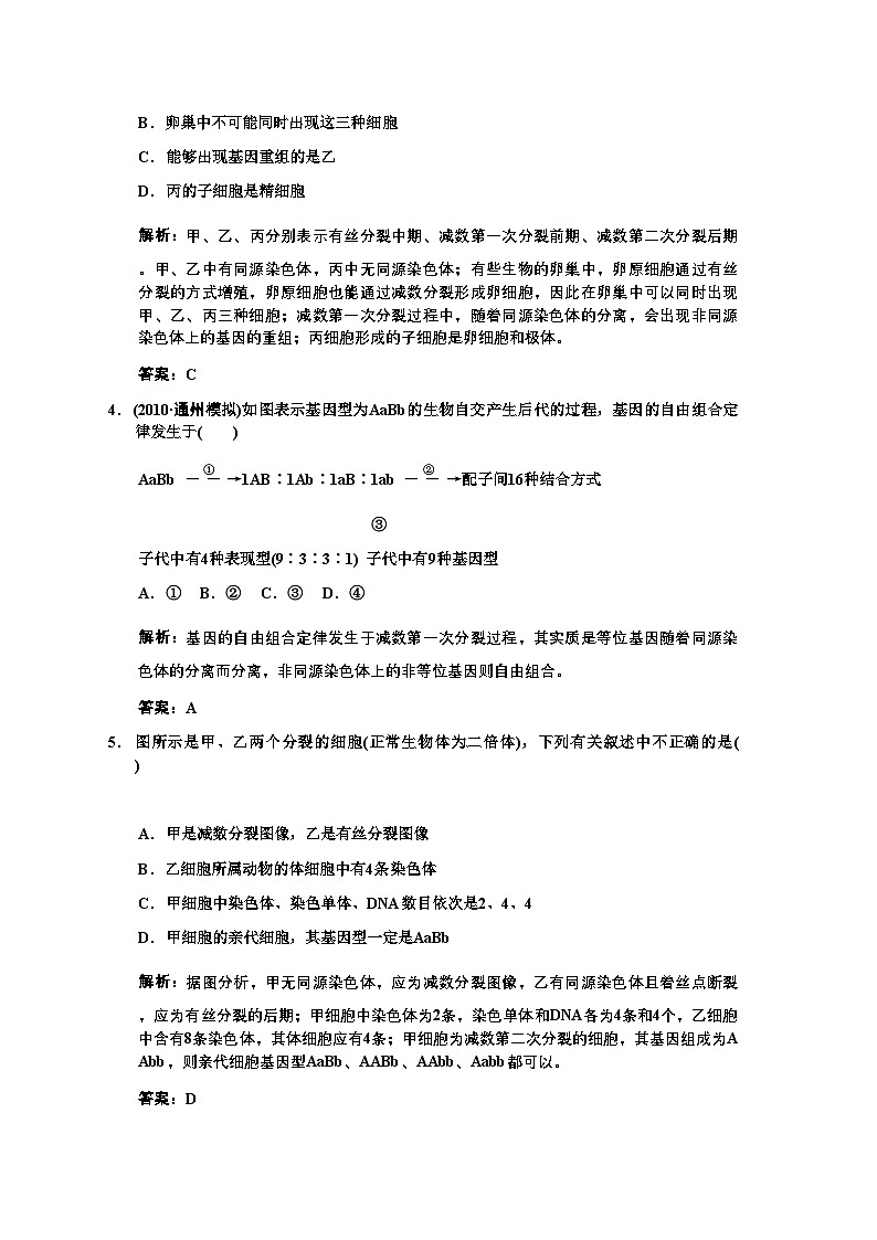 2022年高三生物一轮复习第一节减数分裂和受精作用练习2苏教版必修2第2页