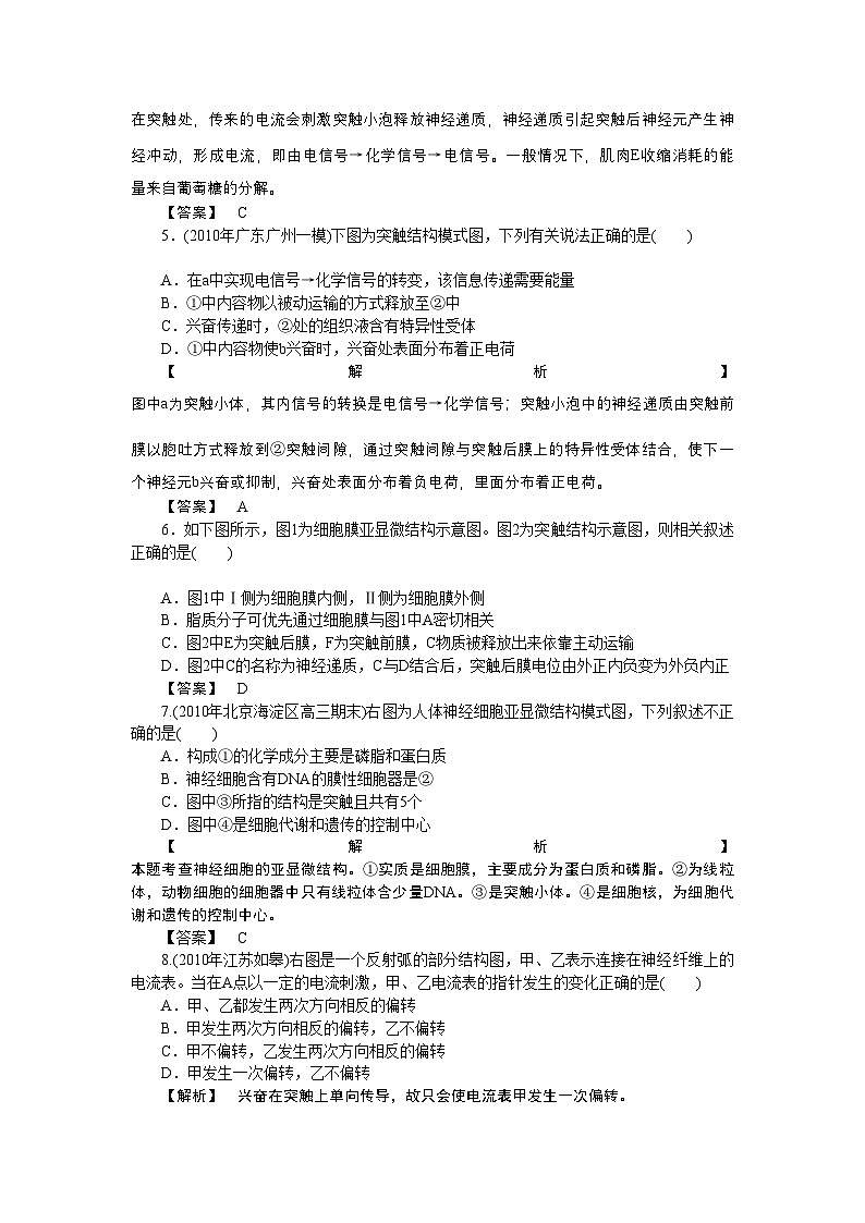 2022年龙门亮剑高三生物一轮复习第2章第1节通过神经系统的调节课后活页作业新人教版必修3第2页