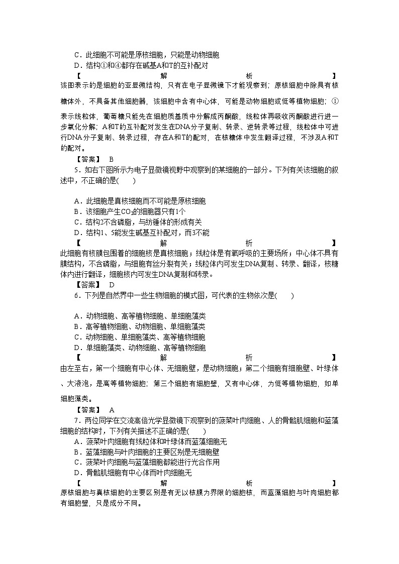 2022年龙门亮剑高三生物一轮复习第3章第2节细胞器系统内的分工合作课后活页作业新人教版必修1第2页