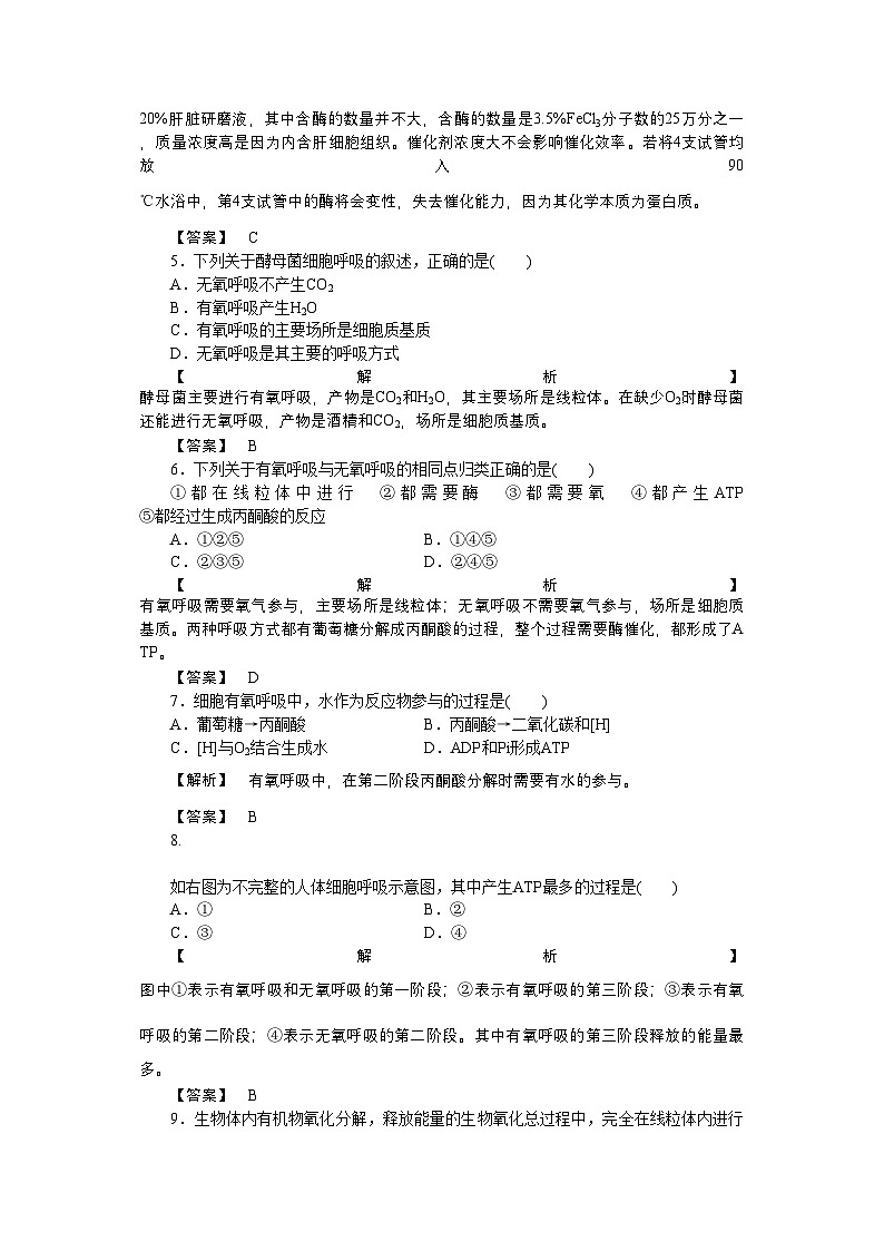 2022年龙门亮剑高三生物一轮复习第5章细胞的能量供应和利用单元检测新人教版必修1第2页