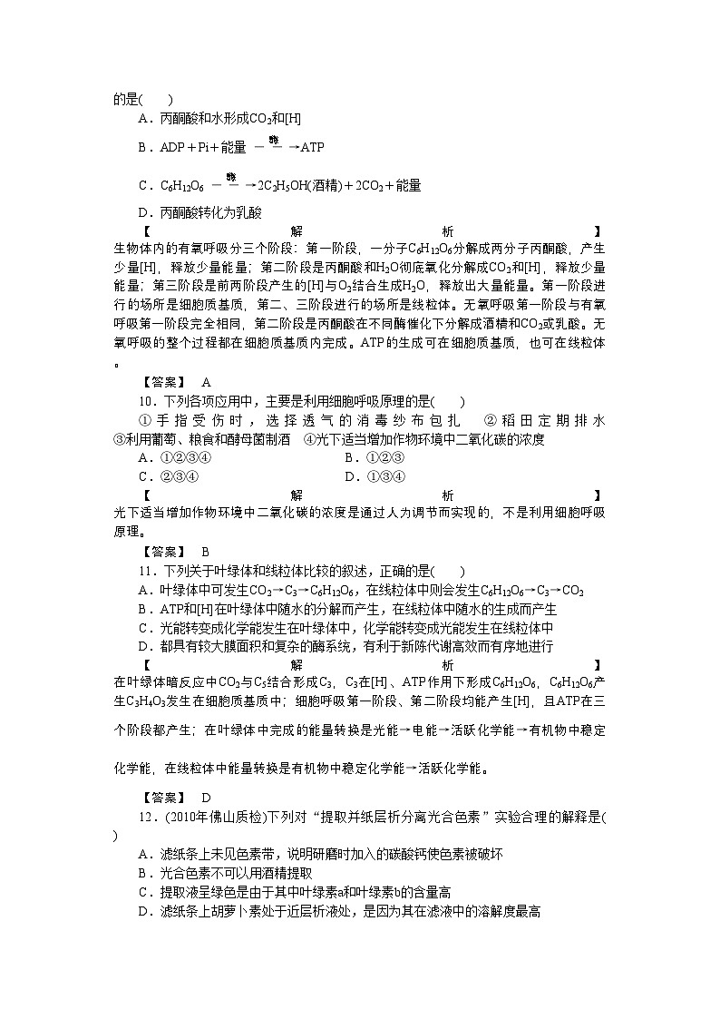 2022年龙门亮剑高三生物一轮复习第5章细胞的能量供应和利用单元检测新人教版必修1第3页
