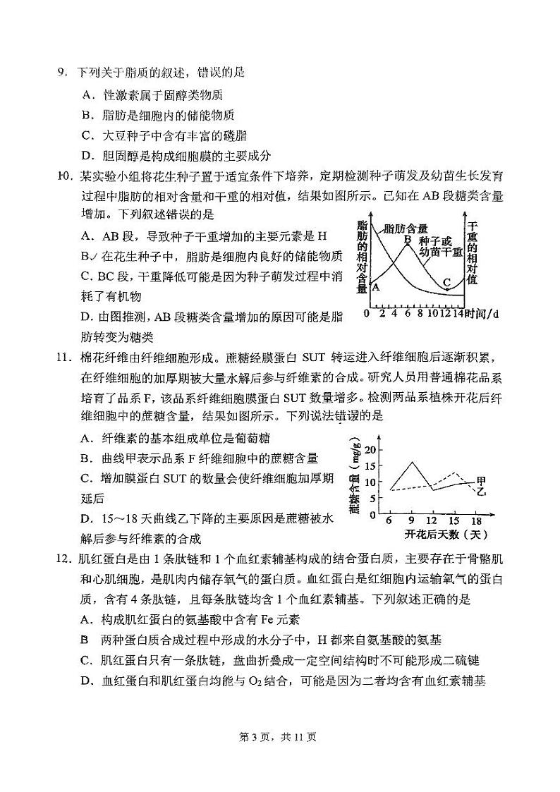 广东省广州市越秀区广州市执信中学2024-2025学年高一上学期11月期中生物试题第3页